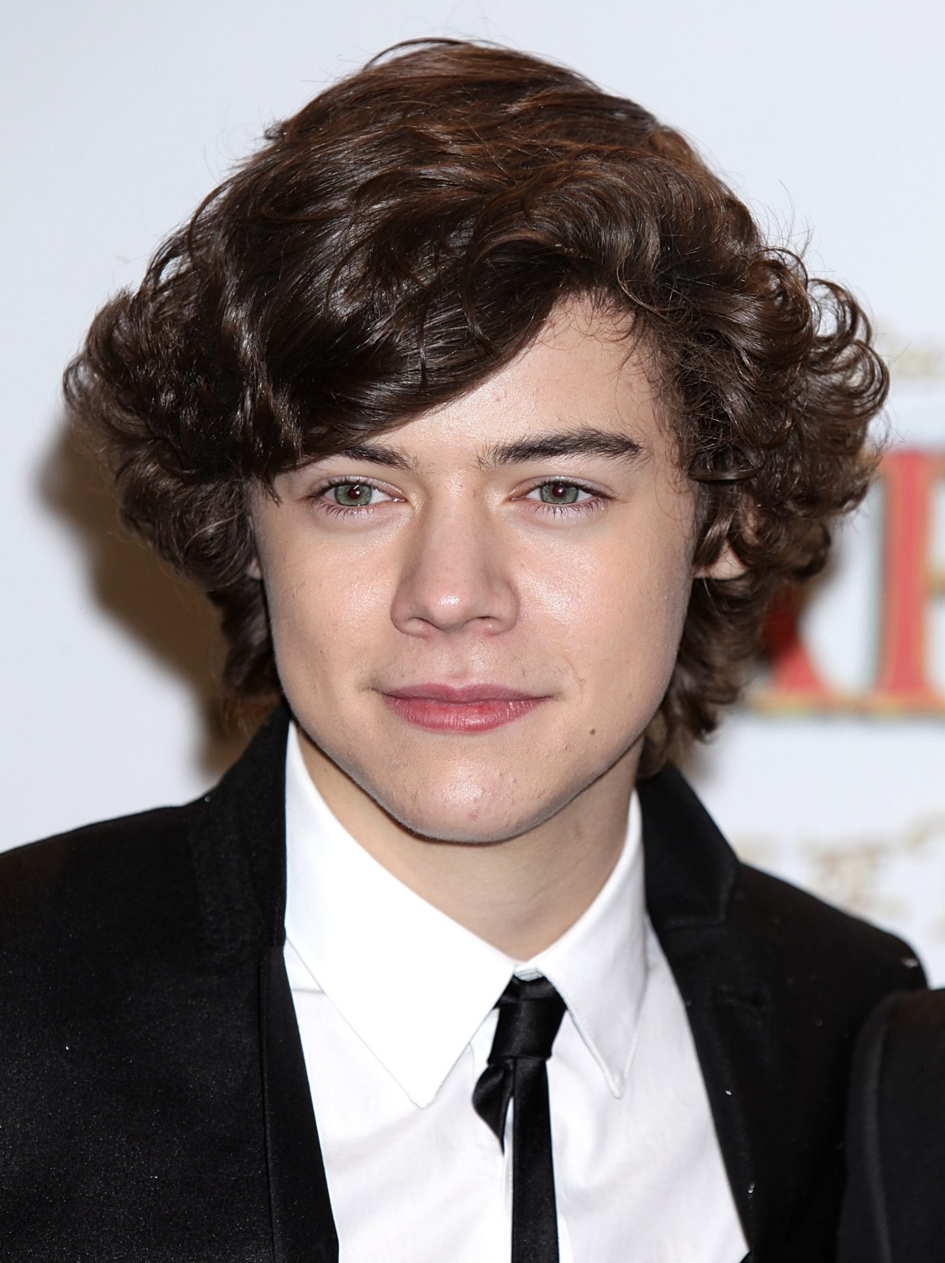 Did Harry Styles Have One of the Most Precious Glow-Ups Ever? It Would Appear So