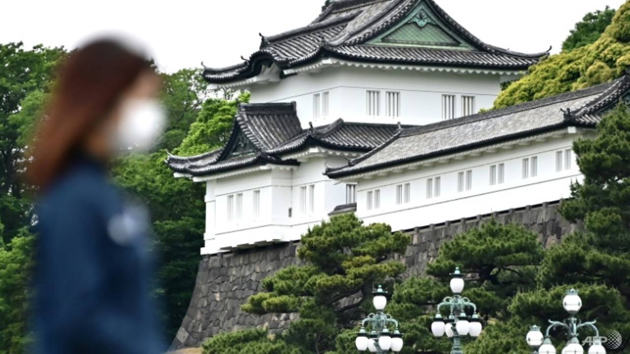 Man arrested after swimming moat to enter Japan palace grounds