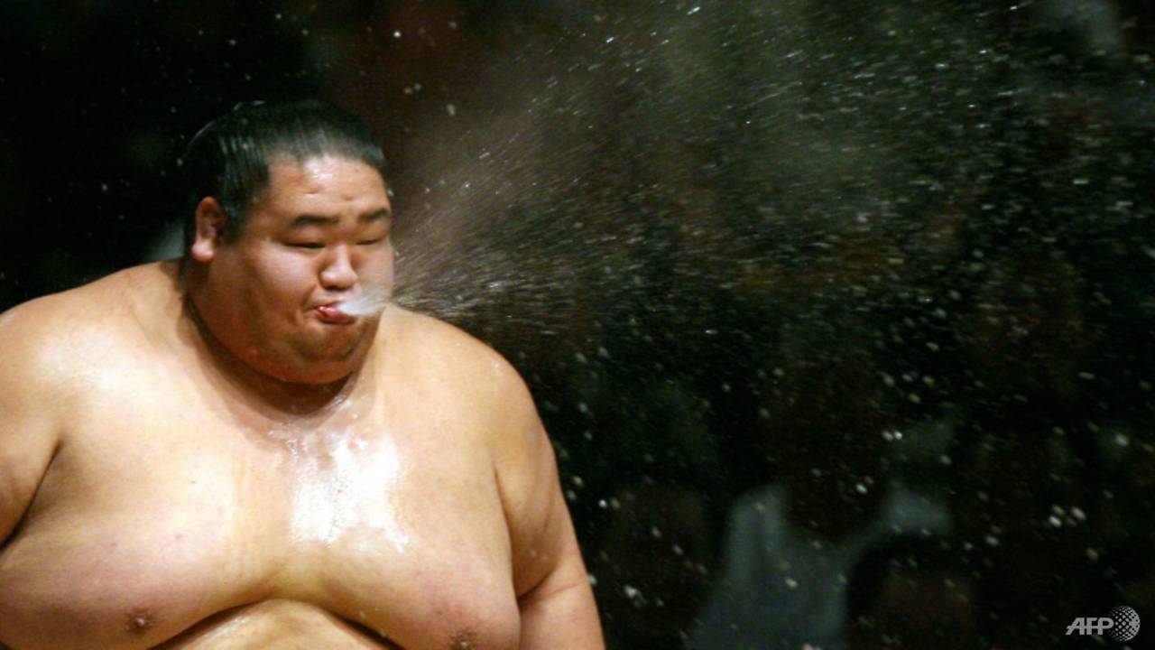 20 sumo wrestlers rescue drowning woman in Tokyo: Reports