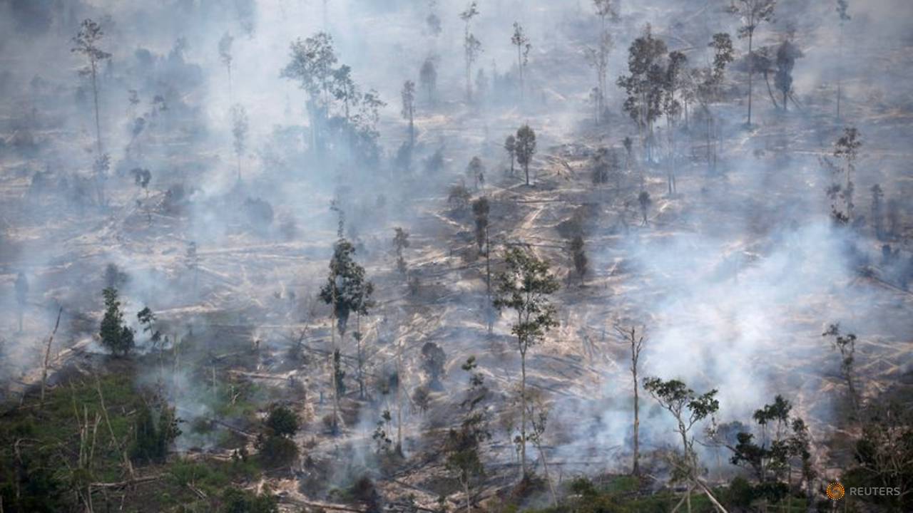 Indonesia gets UN funds to fight climate change, deforestation