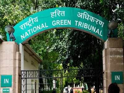 NGT directs Centre, Jharkhand for report on declaration of eco-sensitive zone in Saranda Sanctuary