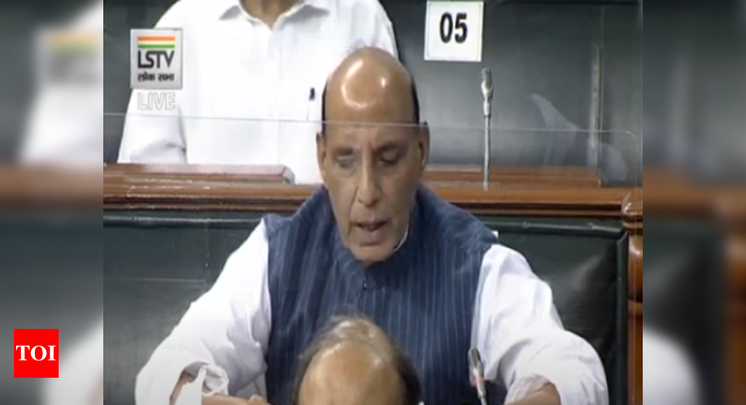 India, China have different perceptions of LAC, Rajnath says in Lok Sabha: Key points
