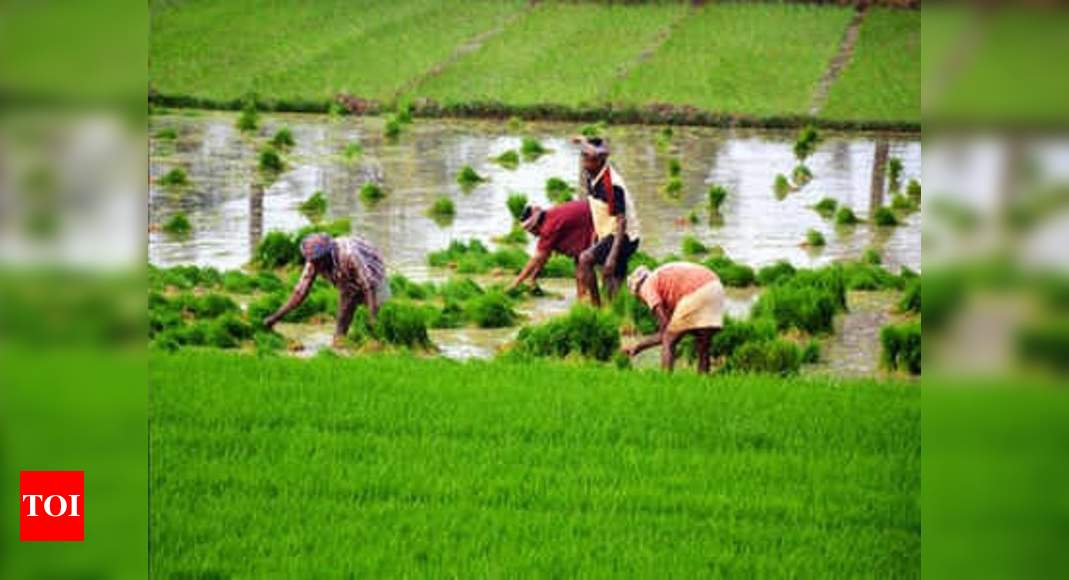 Lok Sabha passes farm Bills amid opposition protest, PM Modi calls it historic