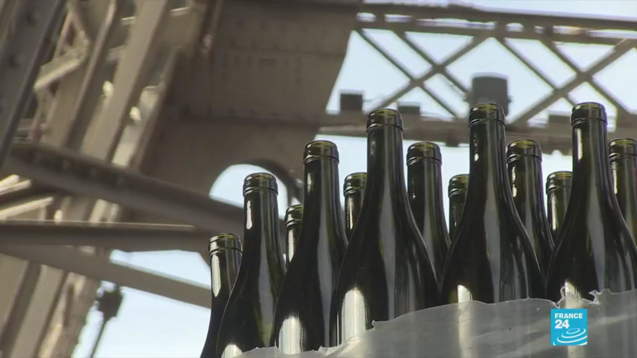 Elegance and finesse: Eiffel Tower wine cellar bears fruit as merlot debuts